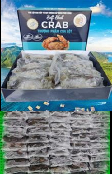 CUA LỘT NC - A - NĐ - SIZE 4/5/6 - THÙNG 12KG - NET 80%