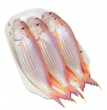 CÁ ĐỔNG - A - XK - THÙNG 10KG (NL)