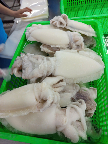 MỰC NANG LÀM SẠCH - SIZE 400/600 THÙNG 5KG - NET 80%