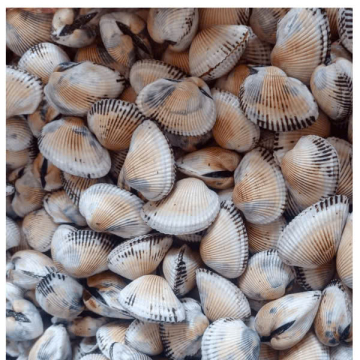 SÒ LÔNG NC - A - BULK - THÙNG 20KG - NET 90%